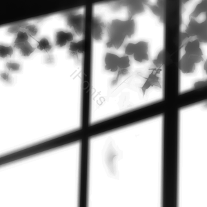 有创意的 阴影 射影 窗户边框 光斑 窗口剪贴画 框架模板 阴影效果