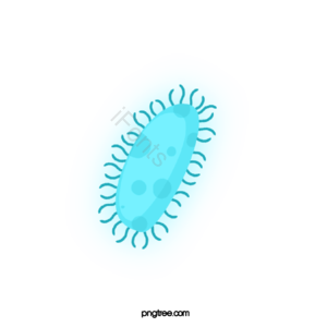 病毒 病菌 细菌 卡通病毒 手绘病毒 细胞 生物