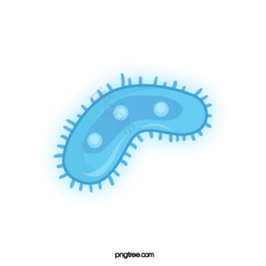 病毒 病菌 细菌 卡通病毒 手绘病毒 细胞 生物