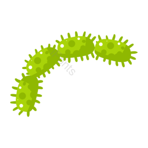 病毒 病菌 细菌 卡通病毒 手绘病毒 细胞 生物