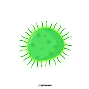 病毒 病菌 细菌 卡通病毒 手绘病毒 细胞 生物