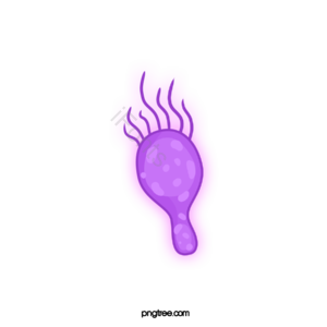 病毒 病菌 细菌 卡通病毒 手绘病毒 细胞 生物