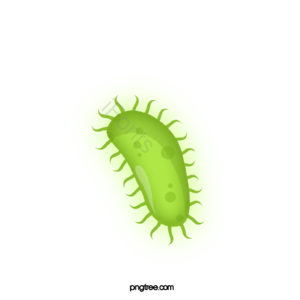 病毒 病原 菌 卡通病毒 手绘病毒 细胞 生物学