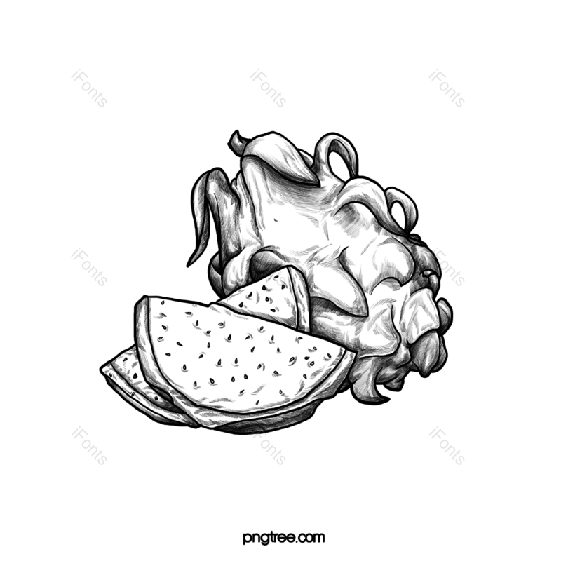 卡通插画图片,水果元素,美味PNG,水果线描免抠素材