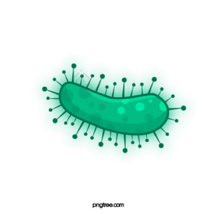 病毒 病菌 细菌 卡通病毒 手绘病毒 细胞 生物