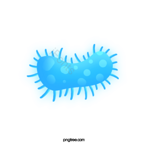 病毒 病菌 细菌 卡通病毒 手绘病毒 细胞 生物