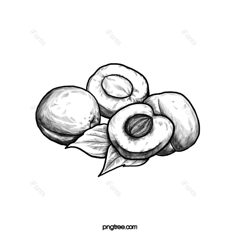 卡通插画图片,水果元素,美味PNG,水果线描免抠素材