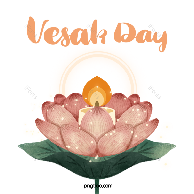 节日图片,动画片元素,彩色PNG,莲花免抠素材