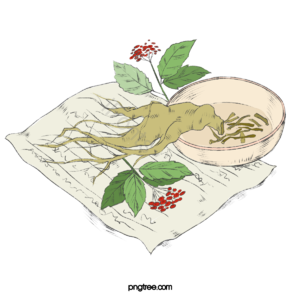 手绘竽 动画片 植物 人参 绿色 黄色 红色 盘子