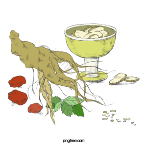 手绘竽 动画片 植物 人参 黄色 绿色 枣树 红色