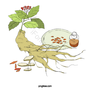 动画片 手绘竽 人参 植物 黄色 绿色 盘子 红色