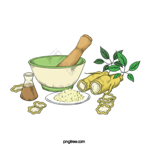 动画片 手绘竽 人参 植物 料碗 盘子 绿色 黄色