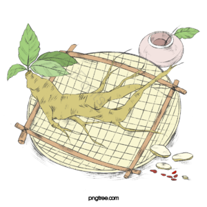 动画片 手绘竽 人参 植物 盘子 罐子绿色 黄色