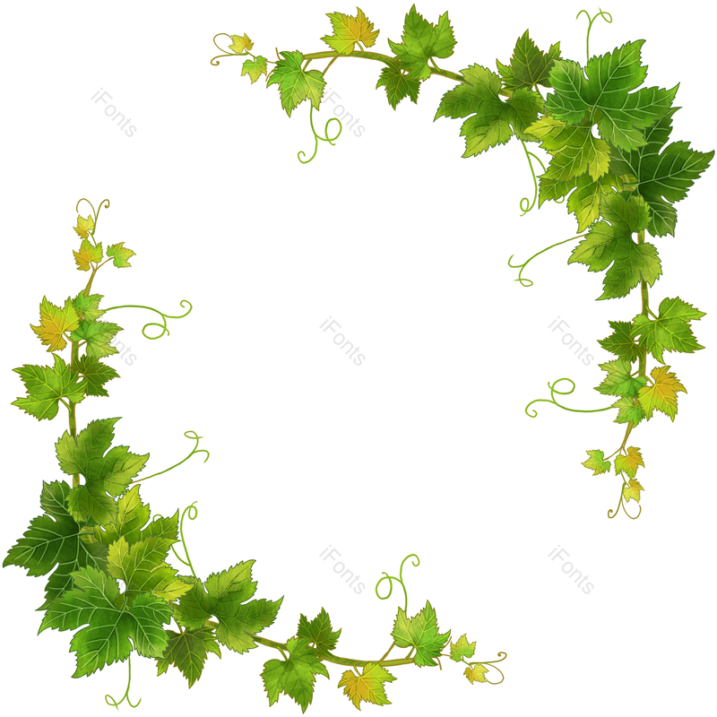 边框图片,水果元素,树叶PNG,春季免抠素材