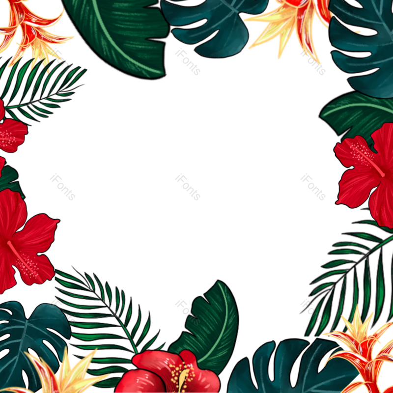 丛林图片,绿色元素,活力PNG,免抠素材
