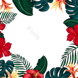 手绘竽 叶 花礼 热带 绿色 文框 活力 丛林