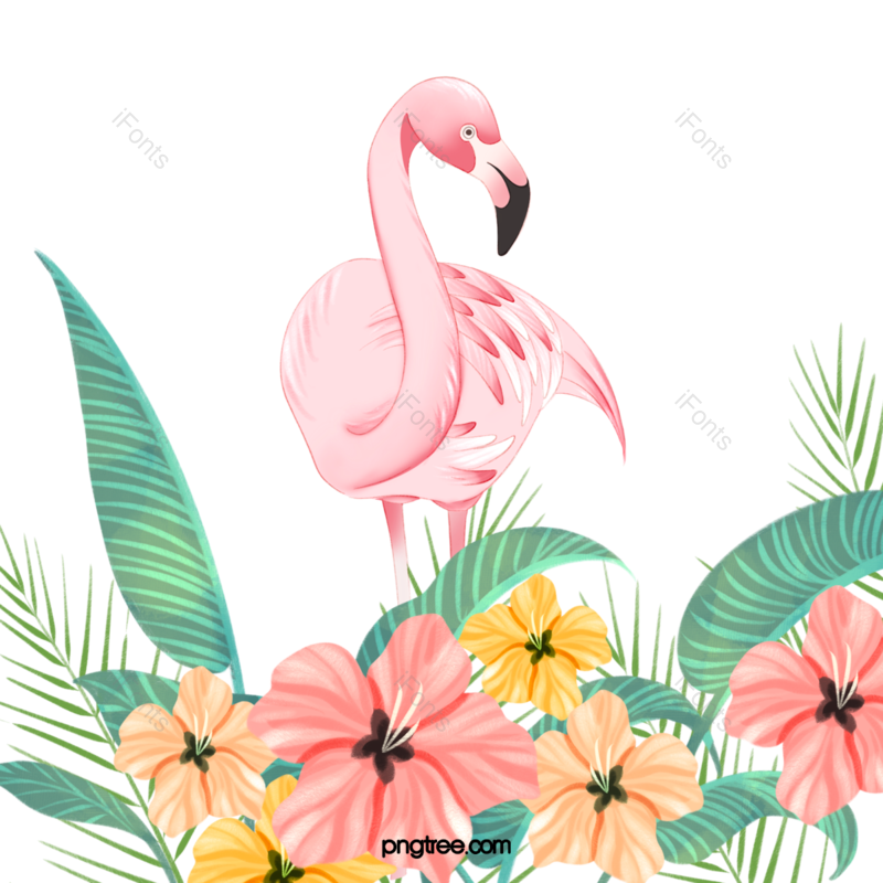 夏天图片,花卉元素,动画片PNG,动物免抠素材