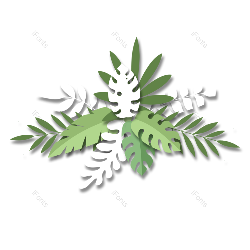 叶子图片,丛林元素,剪纸风格PNG,植物免抠素材