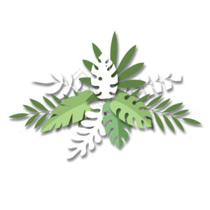 热带植物 剪纸风格 大叶植物 叶片组合 蒙斯特拉 叶子 热带 植物