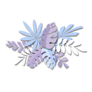 热带植物 剪纸风格 叶子 叶子组合 龟背竹 大叶植物 蓝紫色 植物