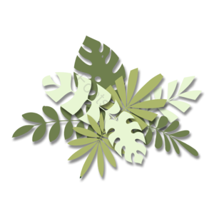 热带植物 剪纸风格 大叶植物 蒙斯特拉 叶片组合 叶子 植物 绿色