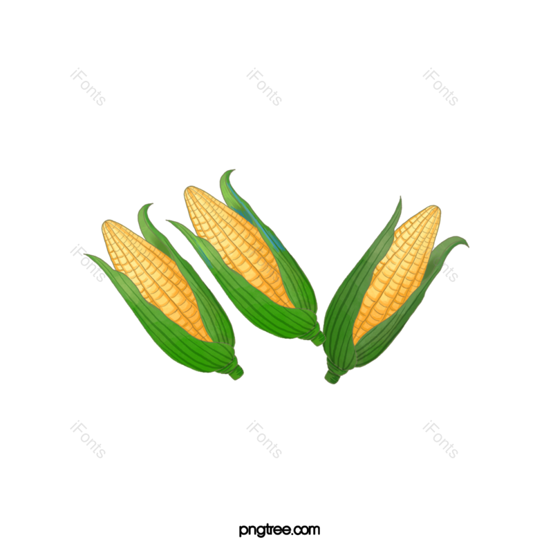 节日图片,丰收元素,庆典PNG,庆祝免抠素材