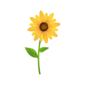 一株向日葵 葵花 太阳花 美美哒 春天立春 种子 花礼 向日葵矢量图
