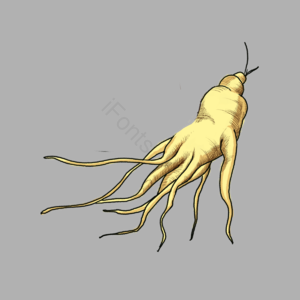 中医 中药 人参 医术 医药 药材 中药材 健康
