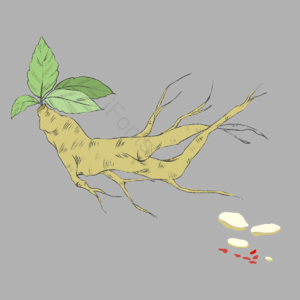 中药材 中医 中药 人参 医术 医药 药材 健康