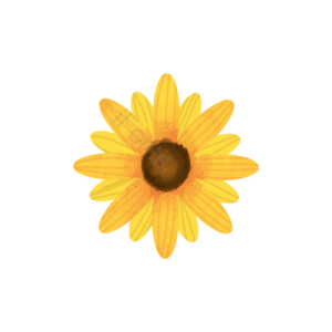 一株向日葵 葵花 太阳花 美美哒 春天立春 种子 花礼 向日葵矢量图