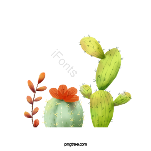 手绘 卡通 植物 仙人掌 叶子 绿色 花 红色