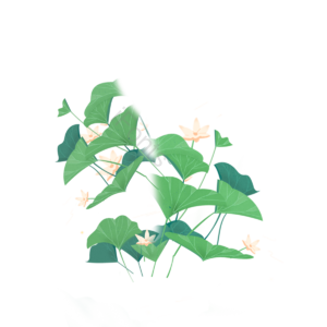 手绘 插画 扁平化设计 中国风 荷花 荷叶 绿色 植物