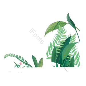 黑白 黑白植物 线描植物 水果 果子 花 树叶 黑色树叶
