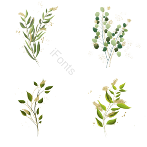 清新 植物 手绘 金色 枝叶 绿植 绿色 花卉