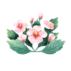 木槿花 花卉 叶子 装饰 花瓣 清新 手绘 花环