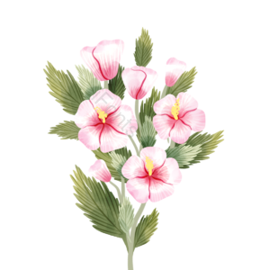 木槿花 花卉 装饰 植物 花瓣 清新 手绘 花环