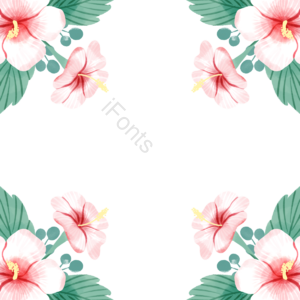 木槿花 手绘 花束 植物 花瓣 叶子 花环 清新