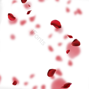 洒落 飘落 花瓣 玫瑰花 浪漫 红色 唯美 创意