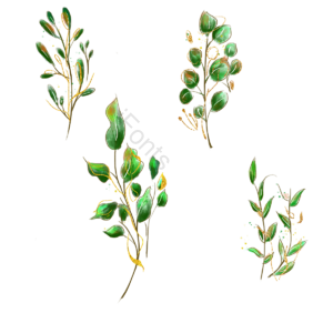 叶子 金枝 清新 花卉 植物 绿色 唯美 树叶