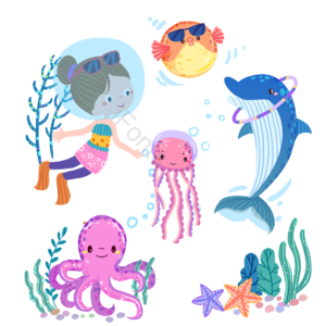海豚 乌贼 女孩 潜水 刺豚 云母 海星 海草