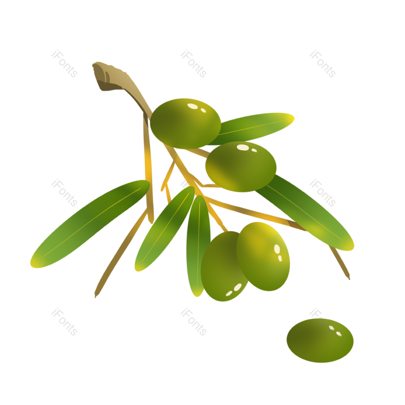 叶子图片,橄榄元素,手绘风PNG,绿色免抠素材