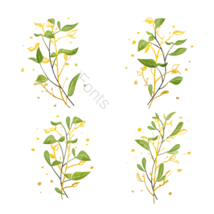 手绘 金色 绿色 植物 枝叶 花卉 清新 金色枝桠