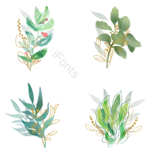 手绘 绿色 金枝 清新 花 植物 绿叶 自然