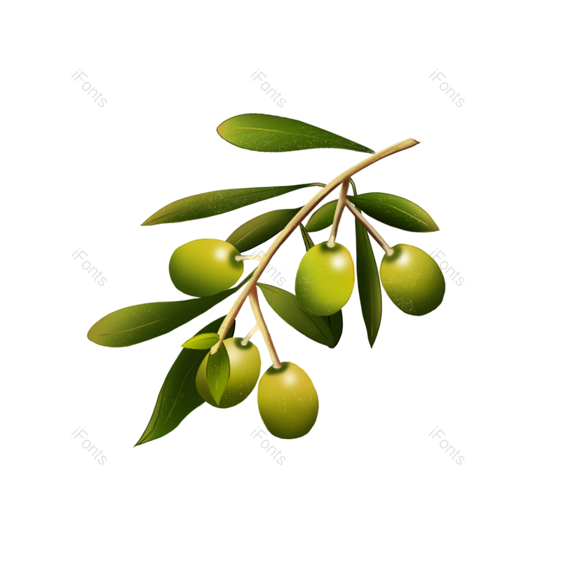 秋天图片,树叶元素,树枝PNG,橄榄免抠素材