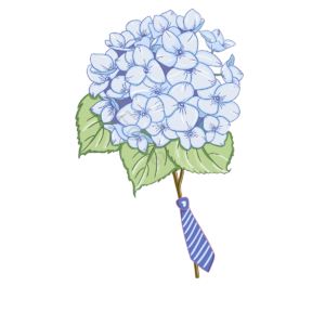 花 叶 手绘 绣球花 花卉 绿色 装饰植物