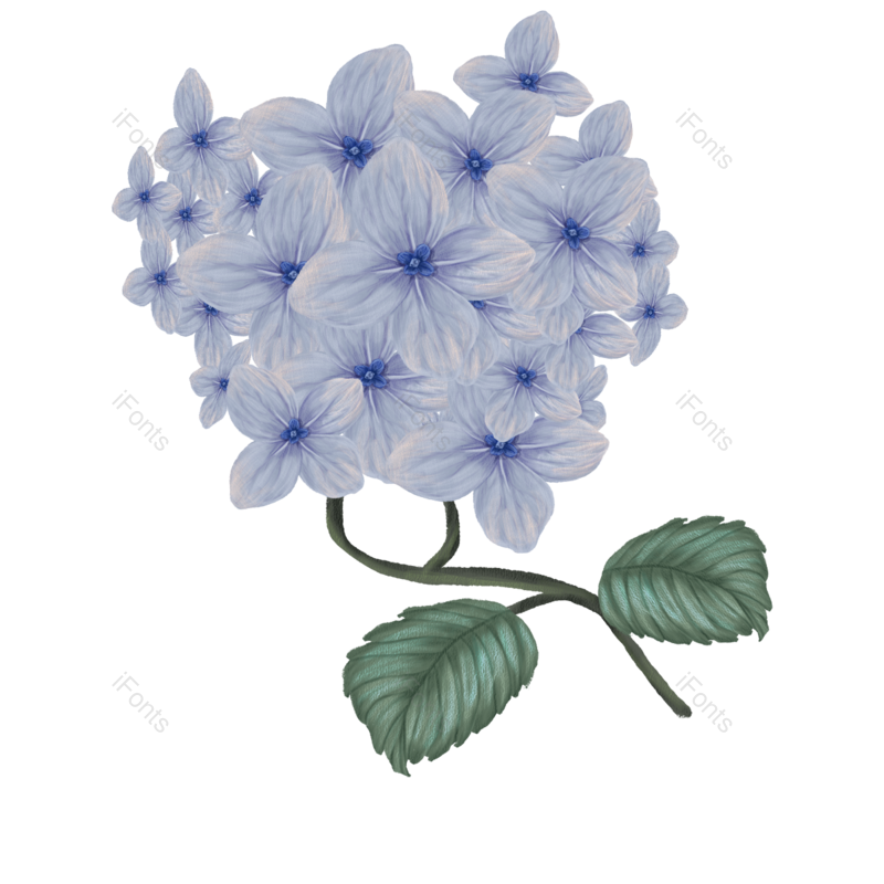 叶子图片,蓝色元素,花朵PNG,花瓣免抠素材