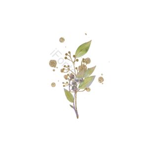 喷溅 水彩 花卉 植物 手绘 绿色 金色 闪烁