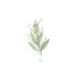 花卉 装饰 手绘 自然 奢华 叶子 元素 插画