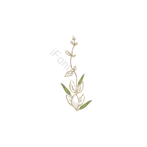 金色 闪烁 手绘 植物 花卉 喷溅 水彩 闪亮