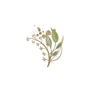 手绘 元素 装饰 植物 水彩 树叶 绿色 金色